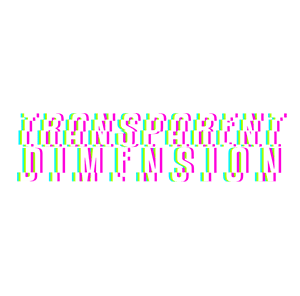 Transparent Dimension Festival Official Logo