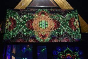 UV Fluorescent Psychedelic Blacklight Lycra Print FLOWER OF LIFE