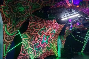 Canopy Ceiling Light Cover Portal Transformer